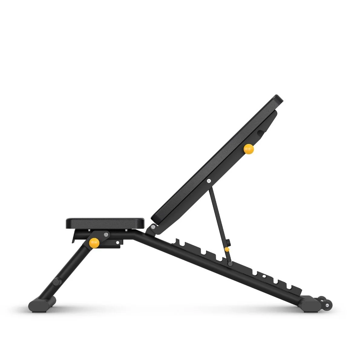 Banco plegable HBN30 - Horizon Fitness - Image 3